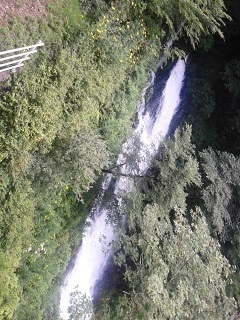 160803_104311.jpg