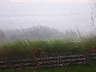 160803_170555.jpg