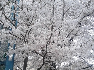 170407-2.jpg
