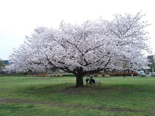 170410-35.jpg