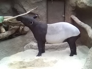 P1000328.jpg