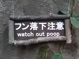 P1000329.jpg